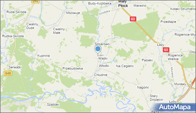 mapa Waśki, Waśki gmina Mały Płock na mapie Targeo